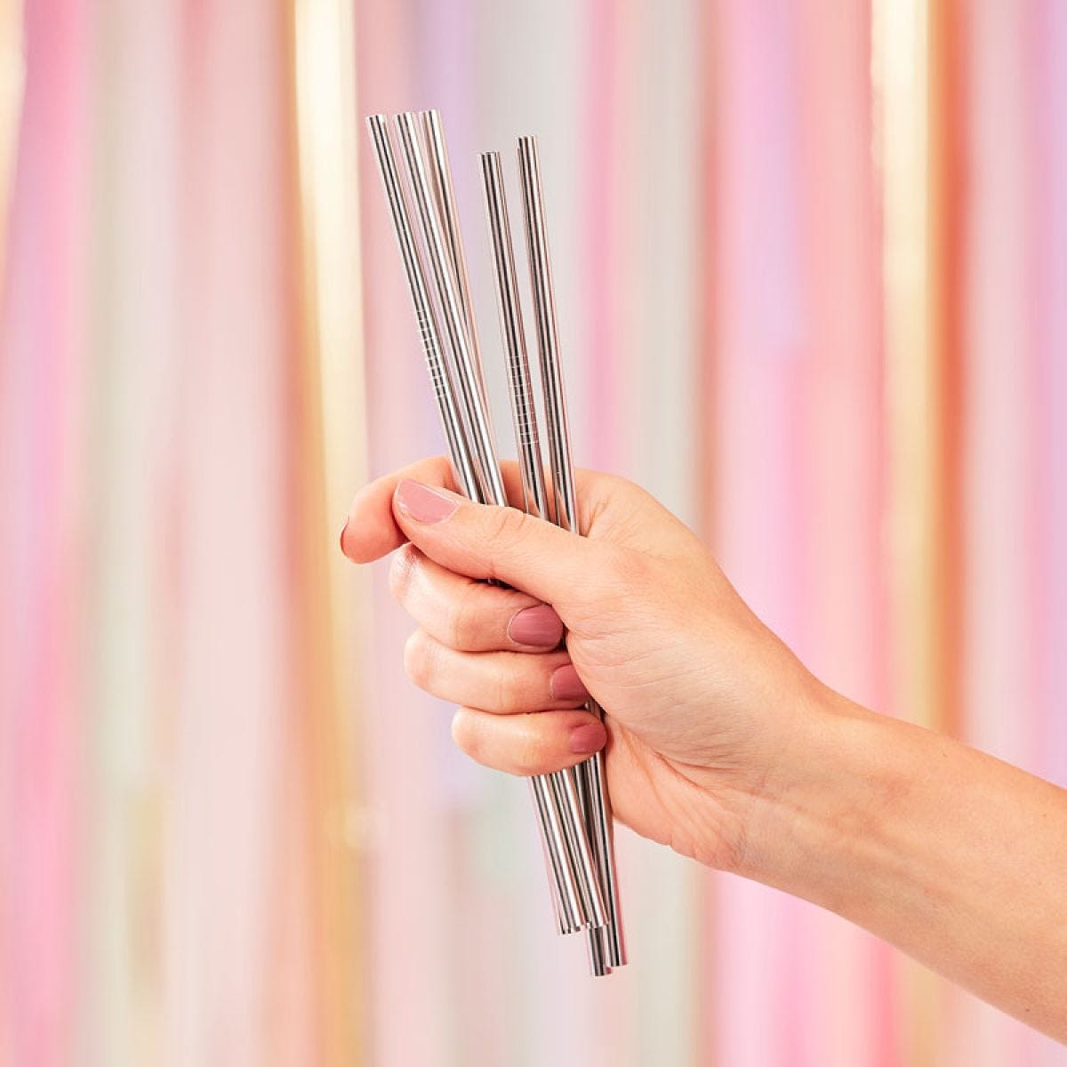 Silver Stainless Steel Straws (5pk)