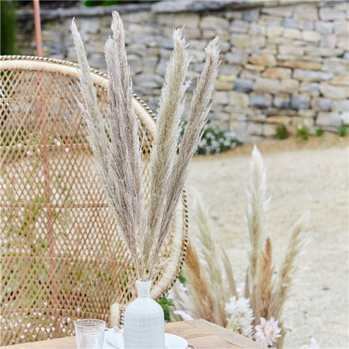 A Touch Of Pampas Natural Pampas Grass (5pk)