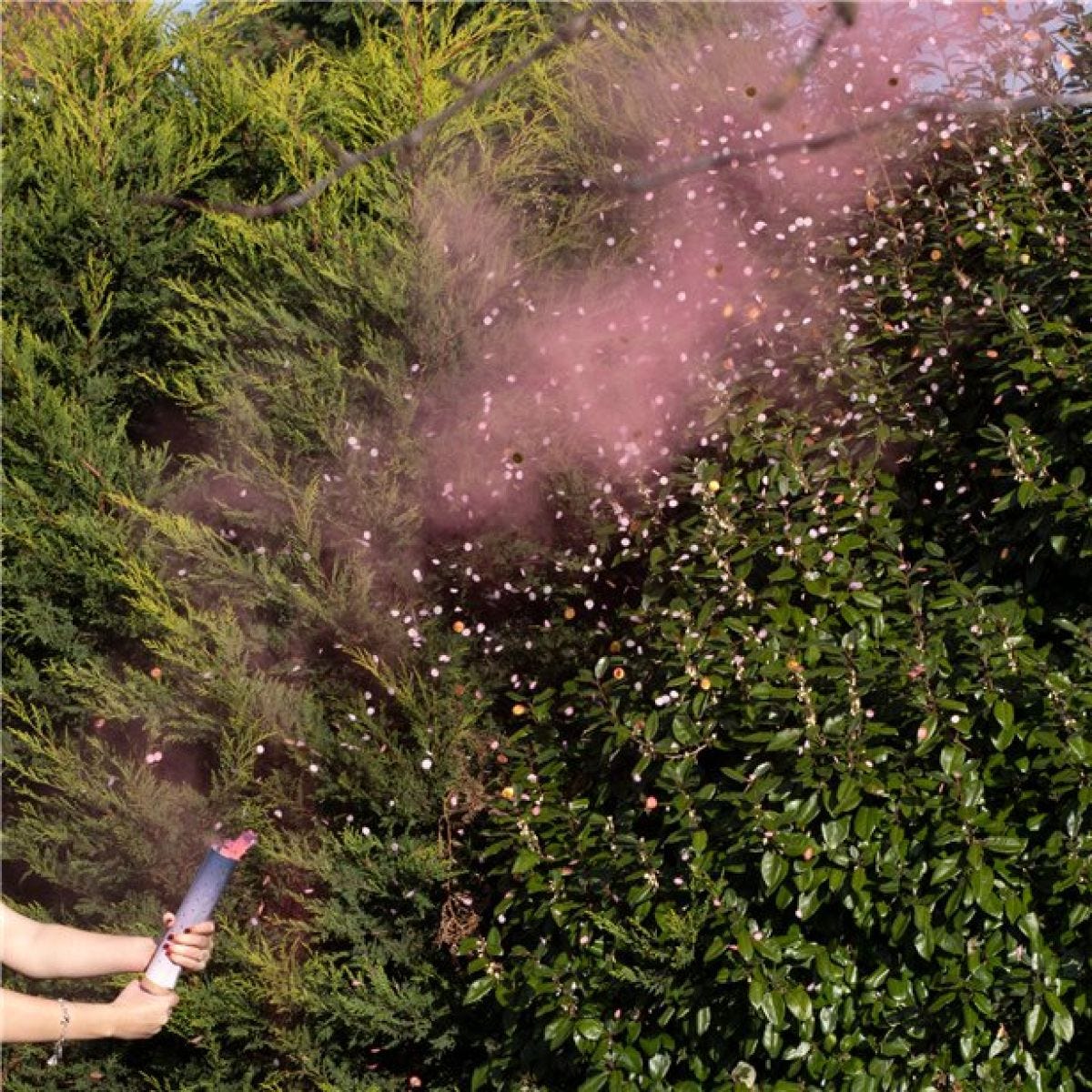 Gender Reveal Pink Smoke Cannon