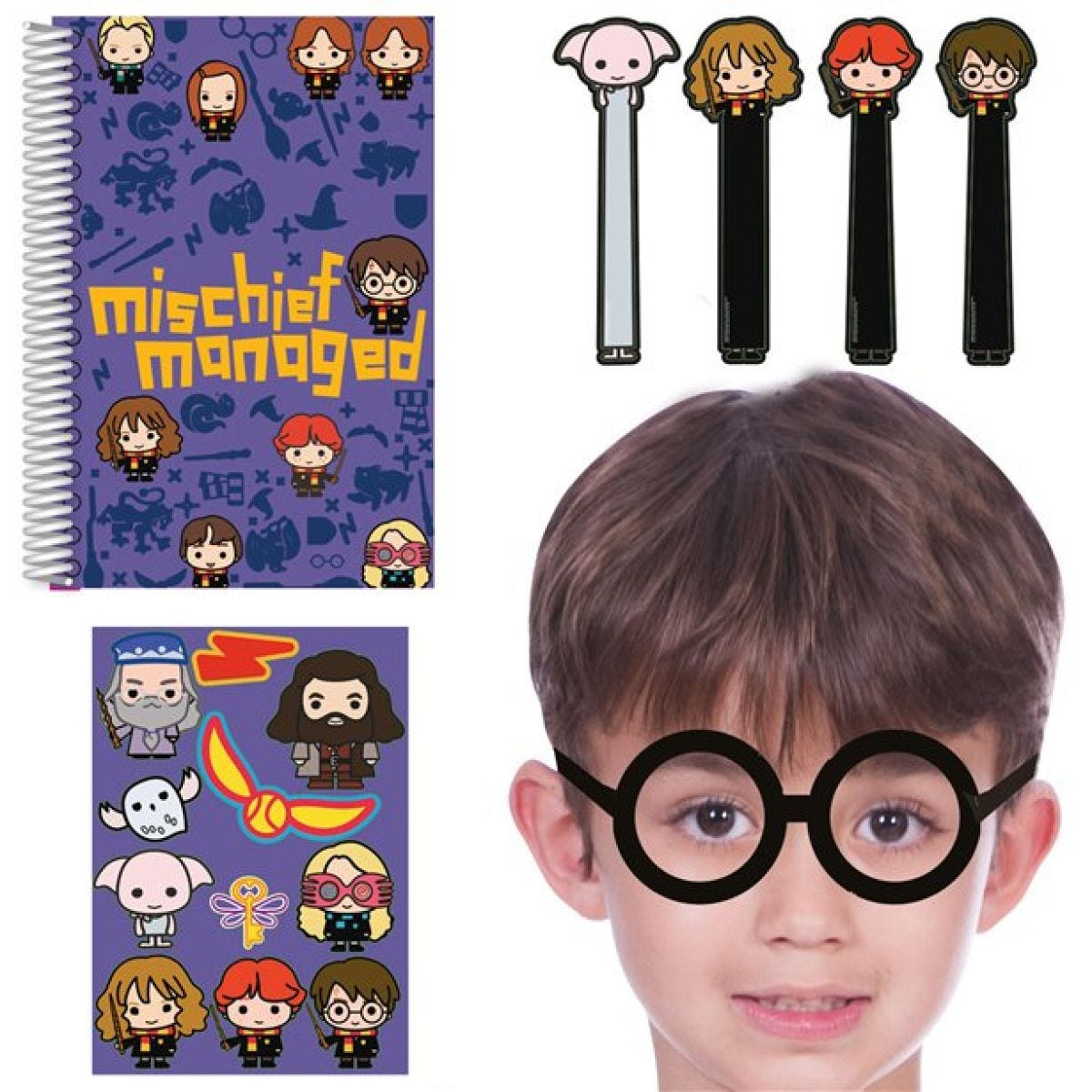 Harry Potter Party Bag Fillers (16pk)