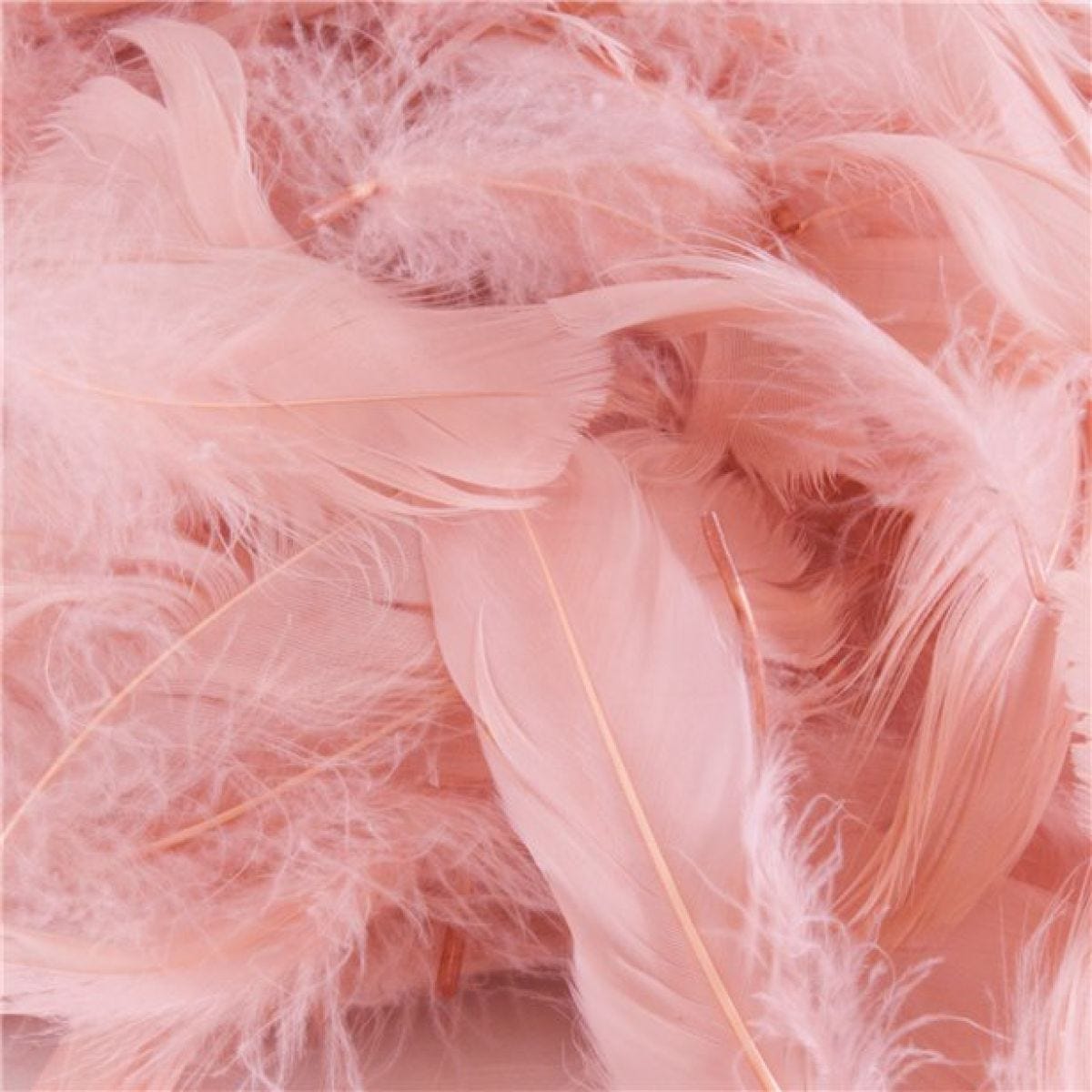 Rose Gold Decorative Feathers - 50g