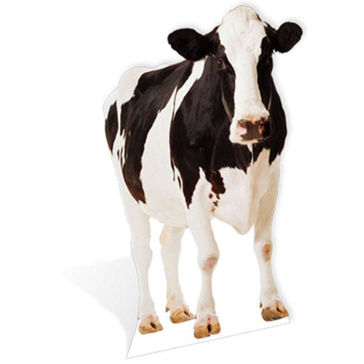 Life Size Cow Cardboard Cutout - 160cm x 93cm