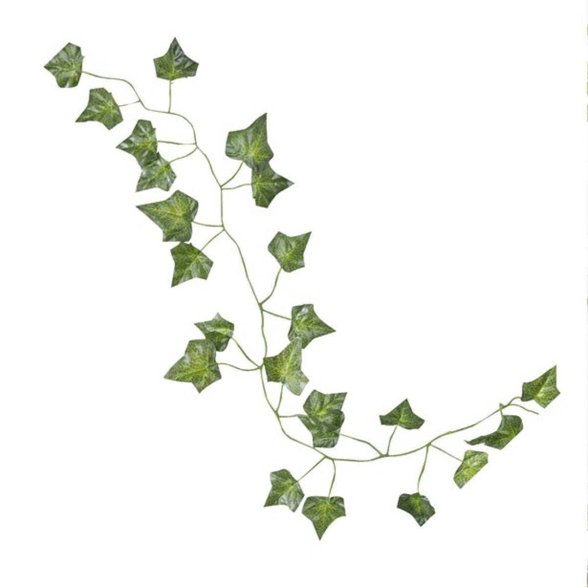 Beautiful Botanics Decorative Vines - 2m (5pk)