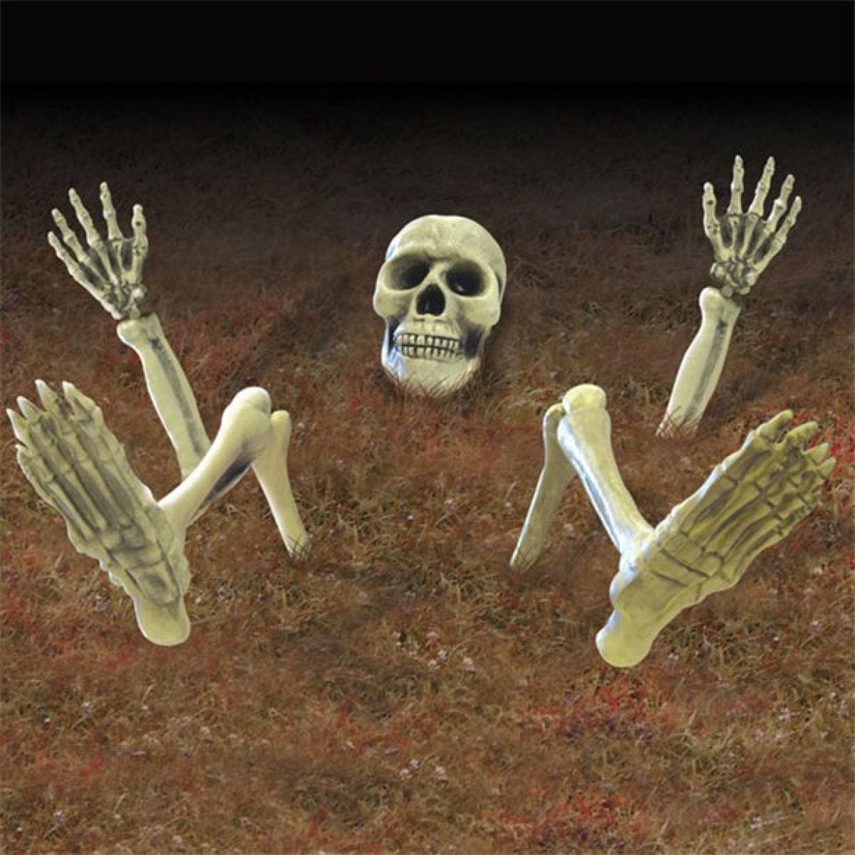 3D Skeleton Groundbreaker