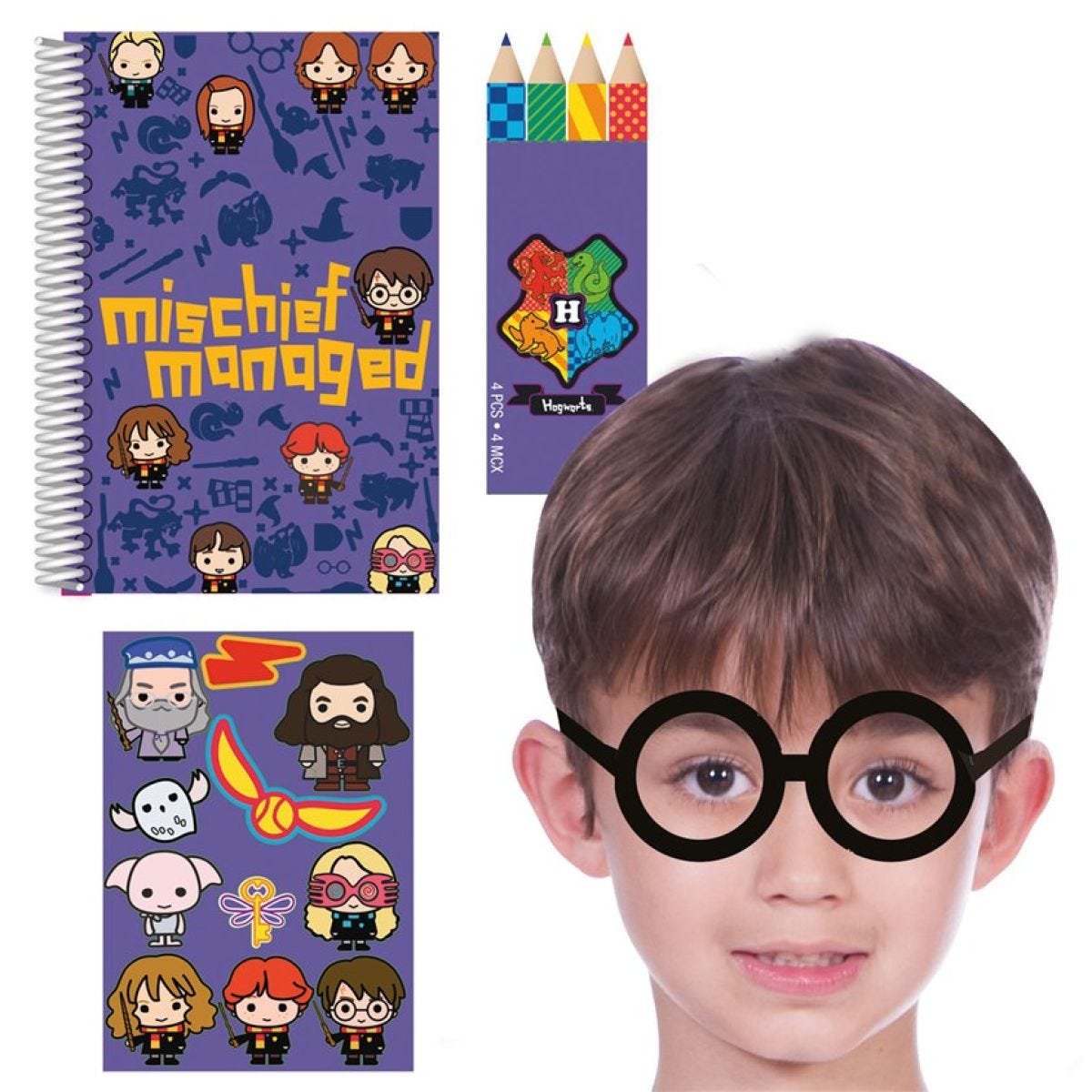 Harry Potter Party Bag Fillers (16pk)