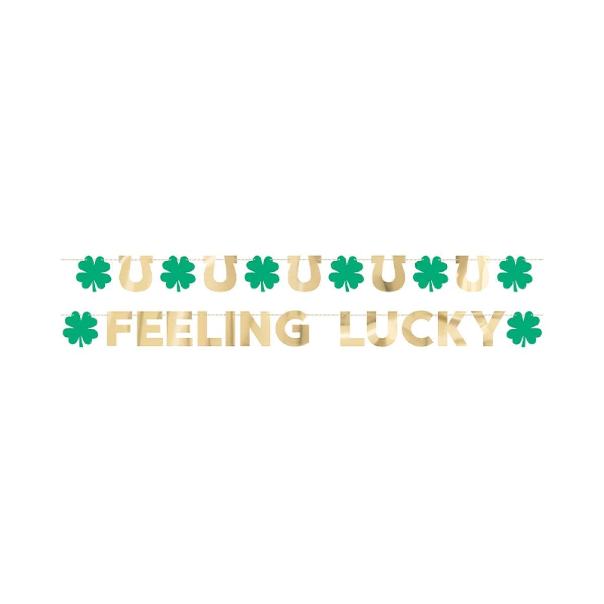Shamrock Foil Garland - 2.7m (2pk)