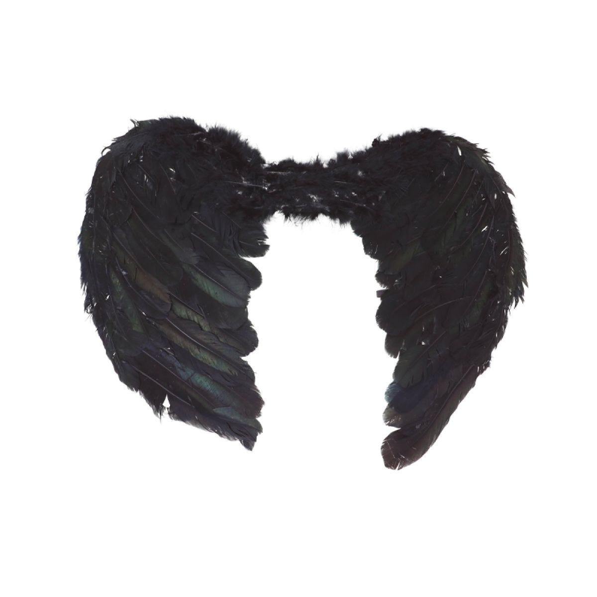 Black Angel Wings - 50 x 40cm