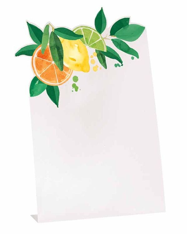 Citrus Fruit Place Cards (6pk)