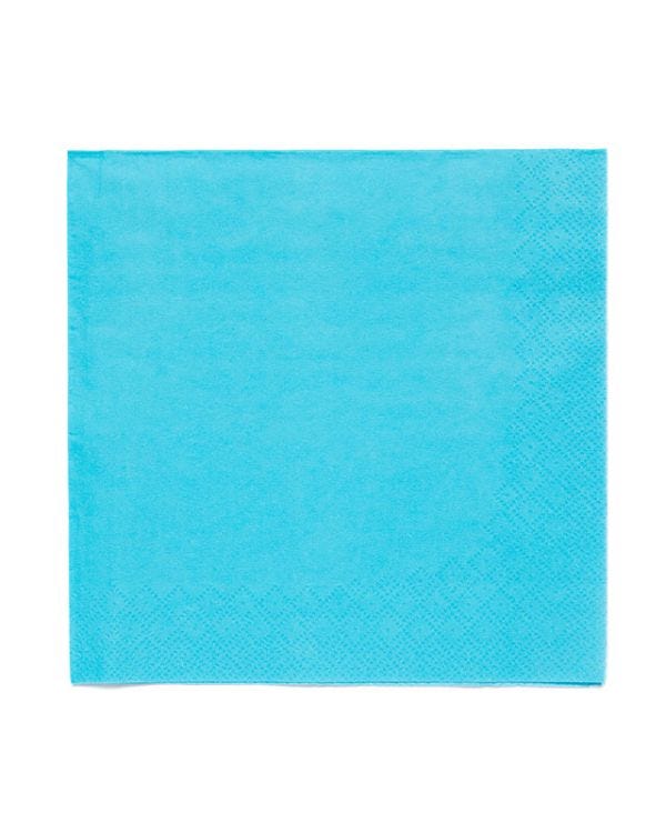 Turquiose Paper Napkins 3ply - 33cm (20pk)