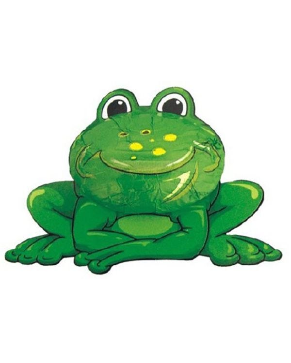 Frog Chocolate - 12.5g