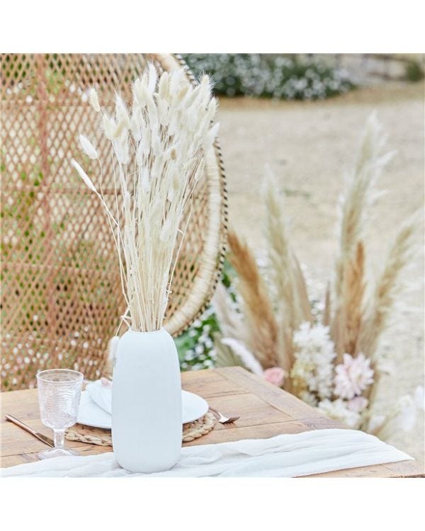 A Touch Of Pampas Off White Dried Bunny Tail Grass (20pk)