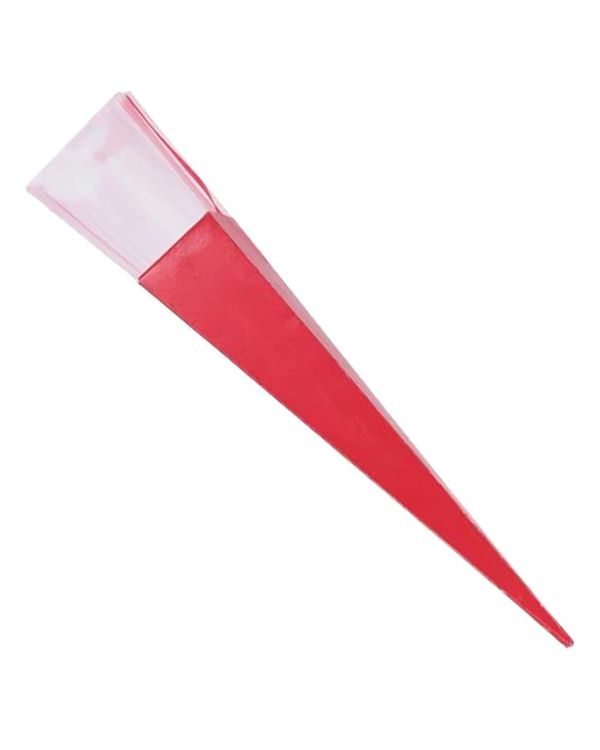 Rose Tube with Red Ribbon