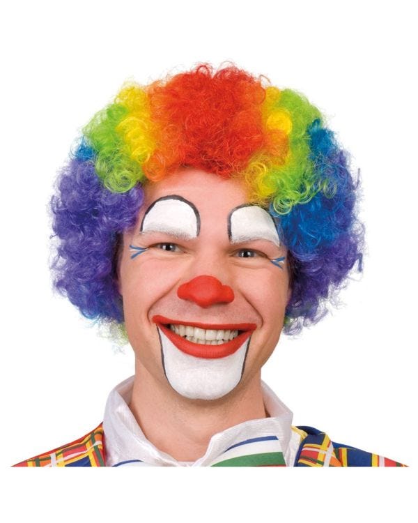 Afro Wig Rainbow