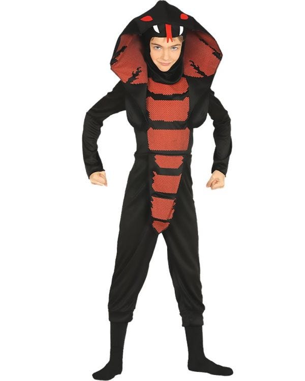 Cobra Ninja - Child Costume