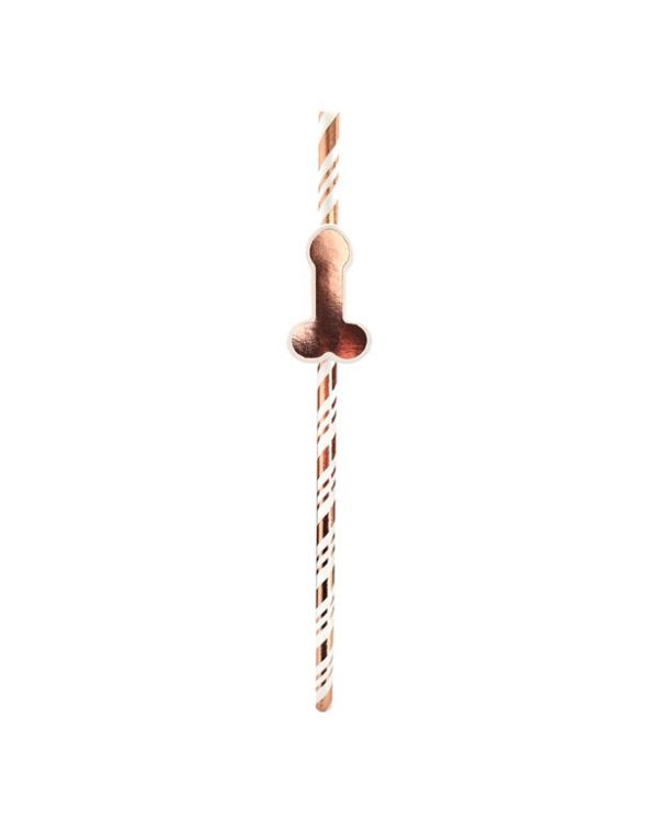 Rose Gold Willy Paper Straws (6pk)