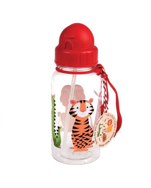 Colourful Creatures Water Bottle - 500ml
