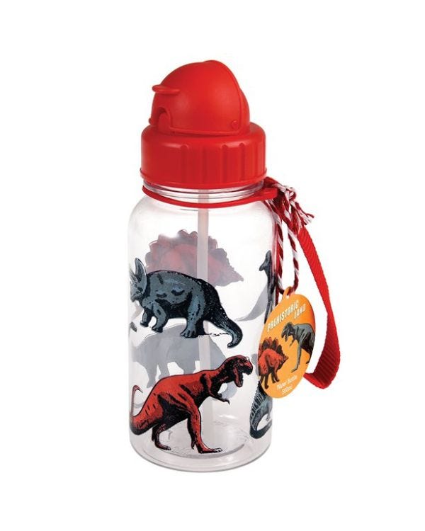 Prehistoric Dino Water Bottle - 500ml