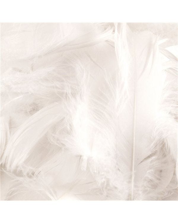 White Decorative Feathers (50g pack)