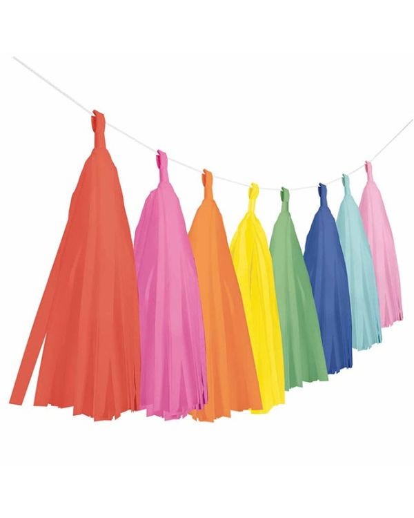 Multi Coloured Paper Tassel Garland - 6m