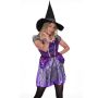 Purple Witch - Adult Costume